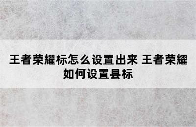 王者荣耀标怎么设置出来 王者荣耀如何设置县标